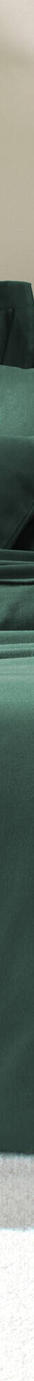 Linge de lit uni flanelle (vert sapin) Linge de lit uni flanelle (vert sapin)